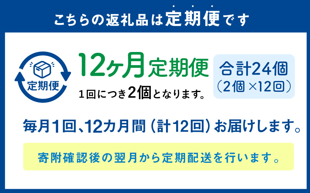 【1ヶ月毎12回定期便】 カムカムおこめチップス（しお） ボックスタイプ 計24個 （2個×12回） お菓子 スナック菓子