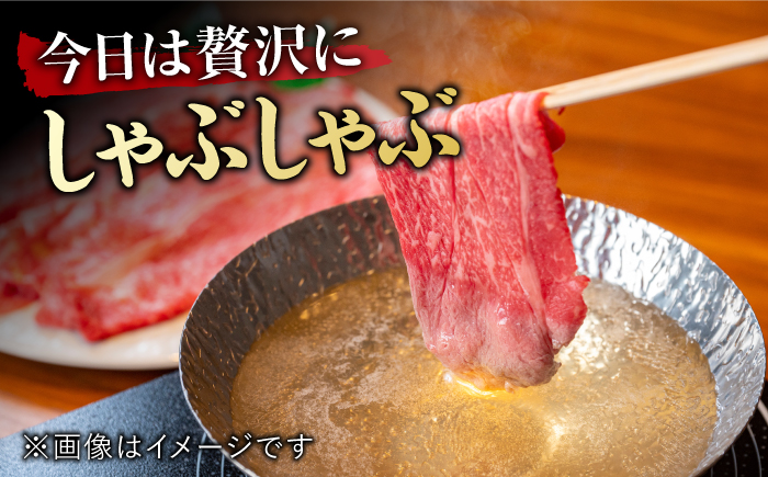【12回定期便】 艶さし！ 佐賀牛 ローススライス 6kg （500g×12回） 吉野ヶ里町 [FDB032]