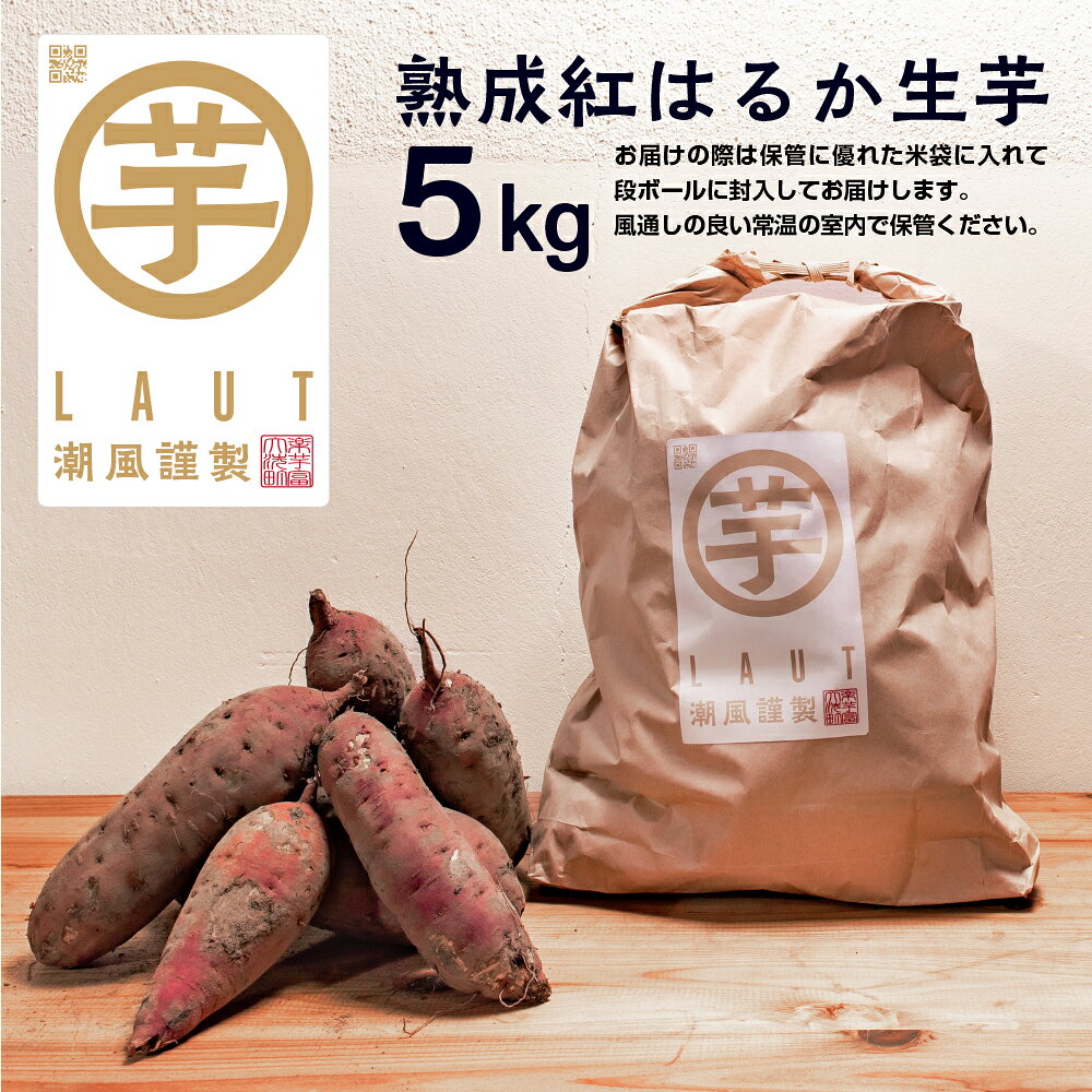 【ふるさと納税】【先行予約】12月以降発送　干し芋屋のさつまいも 熟成 紅はるか 生芋 5kg 無添加 無着色 茨城県産 サツマイモ 土付き 芋 さつまいも さつま芋 薩摩芋 紅遥 べにはるか