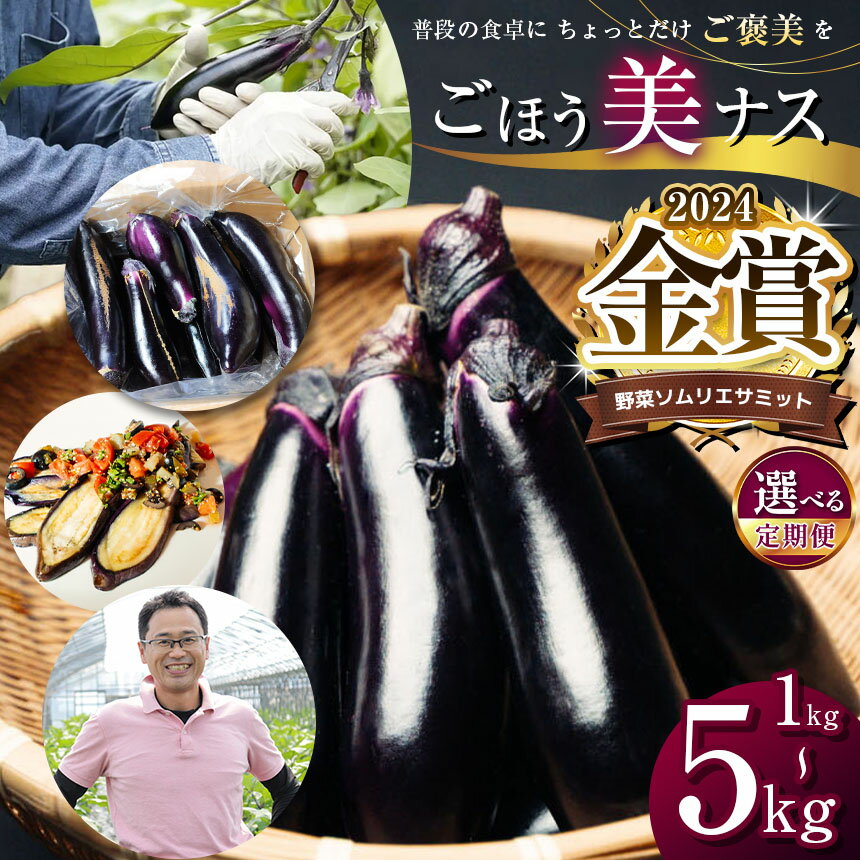 【ふるさと納税】野菜ソムリエサミット金賞「ごほう美ナス」 選べる 内容量 定期便 約1~5kg ｜ 野菜 ナス 茄子 夏秋ナス 長ナス 特産品 栃木県 真岡市 送料無料 なす なすび 野菜 定期便 単品 金賞 受賞