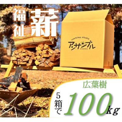 ふるさと納税 伊那市 信州産　広葉樹の薪　約100キロ(20キロ×5箱)　薪長35センチ