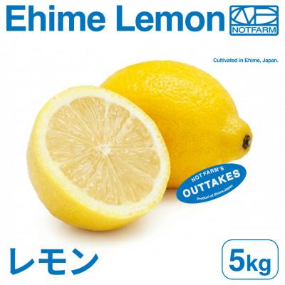 ふるさと納税 八幡浜市 【美味しさそのまま】訳ありレモン5kg 愛媛県産 YELLOW LEMON【99-8】