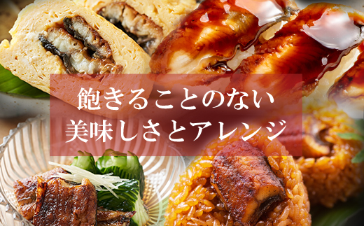 累計販売数229,673件突破 国産うなぎ蒲焼大サイズ4尾（計670g以上）鰻蒲焼用タレ・山椒付 鰻 うなぎ うなぎ 生産量日本一 鰻 うなぎ うなぎ 鹿児島産 鰻 うなぎ うなぎ 宮崎産 うなぎ う