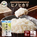 【ふるさと納税】【お米の定期便6回】那賀町のお米 ヒノヒカリ 10kg×6回 計60kg【徳島県 那賀町 相生 国産 白米 精米 ヒノヒカリ 10kg 10キロ 60kg 60キロ 産地直送】YS-13