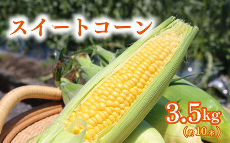 訳あり スイートコーン (ゴールドラッシュ) 3.5㎏（約10本）|  2025年発送 6月 高知県スイートコーン とうもろこし スイート コーン コーン