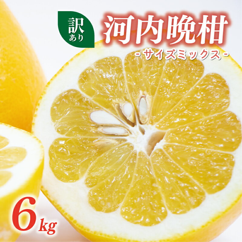 【ふるさと納税】 訳あり 河内晩柑 6kg サイズミックス 7000円 みかん かわちばんかん ミカン mikan わけあり 愛南ゴールド 家庭用 美生柑 文旦 派生 国産 期間限定 数量限定 特産品 人気 限定 甘い おいしい 小玉 含む 果物 柑橘 蜜柑 規格外 大樹農園 愛南町 愛媛県