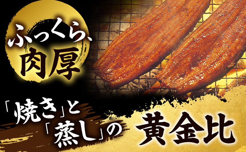 うなぎ 浜松 浜名湖産 鰻 蒲焼 約175g× 2尾 たれ 10ml×2 小分け