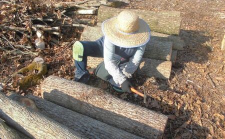 原木生椎茸＋魔法の粉(原木生椎茸＋乾し椎茸パウダー)
