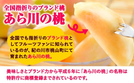【先行予約】あら川の桃約2kg(6-8玉) あら川第一桃生産組合《2026年6月下旬から8月下旬頃出荷》｜桃 もも モモ フルーツ 果物 白鳳 清水白桃 川中島白桃  和歌山県産の桃 紀の川市の桃 和