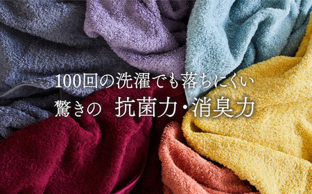 ＜ 今治タオルブランド認定品 ＞ 天然由来の抗菌タオル 「柿渋染め 古来の彩（いろ）」　バスタオル 1枚（カラー 選択可能） 深川鼠/青鈍/小豆色/江戸紫/苅安色/茜