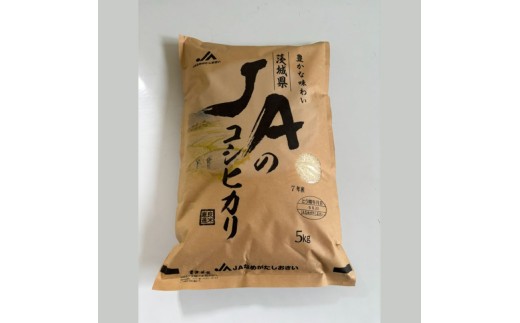 新米 こしひかり お米 令和8年度 5kg 精米 白米 ご飯 ごはん コメ 米5kg 銘柄米 R8 ブランド米 kome okome 国産 産地直送 JAなめがたしおさい 茨城県 鹿嶋市