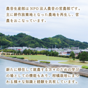 【2026年2月上旬から順次発送】温州みかんジュース 720ml × 6本 果汁100% 無添加 ストレートジュース 数量選択可 | みかんジュース 果汁100% みかんジュース ストレート 100%