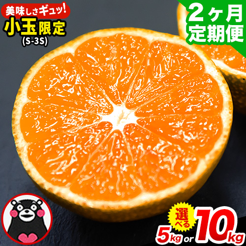 訳あり みかん 小玉みかん くまもと小玉みかん 5kg (2.5kg×2箱) 10kg (10kg×1箱) 選べる回数 秋 旬 不揃い 傷 ご家庭用 SDGs 小玉 たっぷり 熊本県 産 S-3Sサイズ フルーツ 旬 柑橘 長洲町 温州みかん《10月-11月出荷》