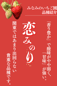 【先行予約】完熟いちご 恋みのり 300g 4パック（DXパック） 　【いちご イチゴ 苺 恋みのり 果物 フルーツ 静岡県産 ふるさと納税 国産 産地直送】