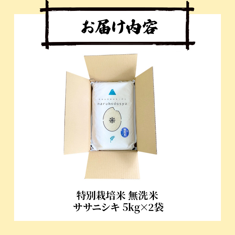 【令和8年産 新米予約】【無洗米】秋田県産特別栽培米ササニシキ10kg（5kg×2袋）新米 お米 おこめ 精米 小分け 特別栽培米