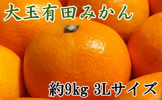 【食べごたえ十分】有田みかん大玉約9kg（3Lサイズ・秀品）　※2026年11月中旬～2027年1月中旬頃に発送予定（お届け日指定不可）【tec879B】