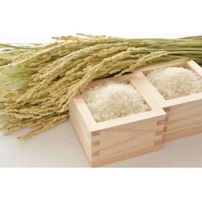 ふるさと納税 新庄市 《先行受付》山形県産米 コシヒカリ5kg |  | 02