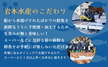 【訳あり】≪浜茹で≫越前がに 中サイズ（生で約700～900g） × 1杯 越前蟹の印 タグ付きでお届け【2月発送分】【足折れ 雄 ズワイガニ 越前ガニ 姿 ボイル 冷蔵 かに カニ 蟹 福井県】希望