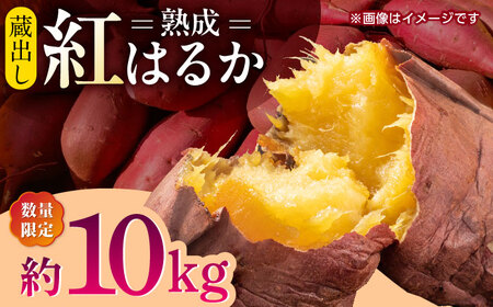 熟成紅はるか約10kg サイズバラバラ さつまいも密芋サツマイモ ZCN019