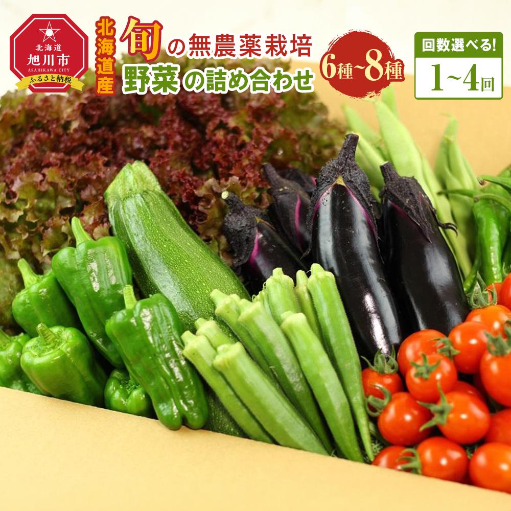 【ふるさと納税】《先行予約》【北海道旭川産】【発送回数選択可能】旬の野菜詰め合わせ[6～8種類](栽培期間中農薬不使用・化学肥料不使用) | 北海道産 無農薬栽培 野菜セット 季節の野菜 新鮮 お取り寄せ 野菜ボックス 安全 安心 野菜直送 人気 旭川市