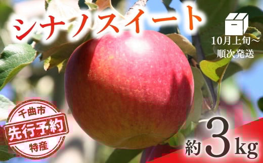 【2025年先行予約】りんご シナノスイート(長野県オリジナル品種) 約3kg 林檎 千曲市 長野県産 信州