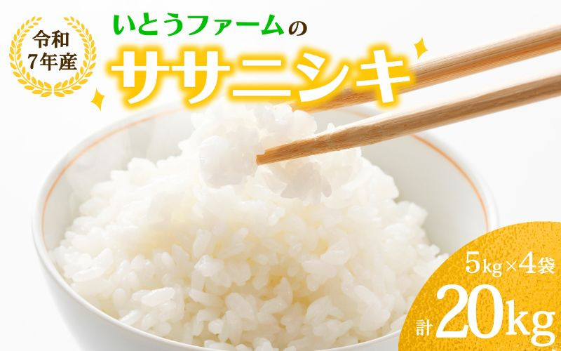 いとうファームの 令和7年産 「ササニシキ」 20kg （5kg×4袋） / 米 お米 精米 白米 ご飯 産地直送 【itofarm023】