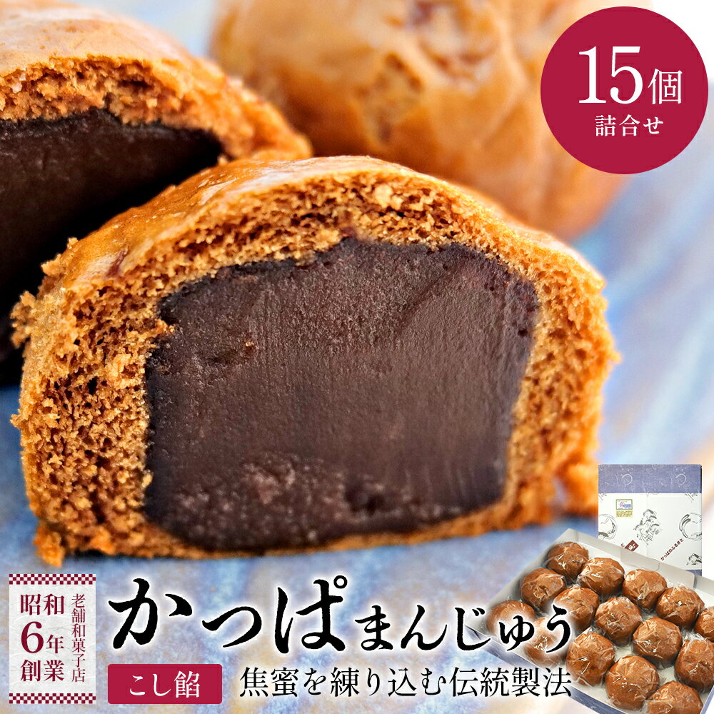 【ふるさと納税】【昭和6年創業】かっぱのふるさと色麻町　かっぱまんじゅう（こしあん）　【04444-0028】 饅頭 こし餡 和菓子 スイーツ 甘味 食品 グルメ 銘菓 ギフト 贈り物 人気 送料無料 宮城県 色麻町 吉田屋菓子店