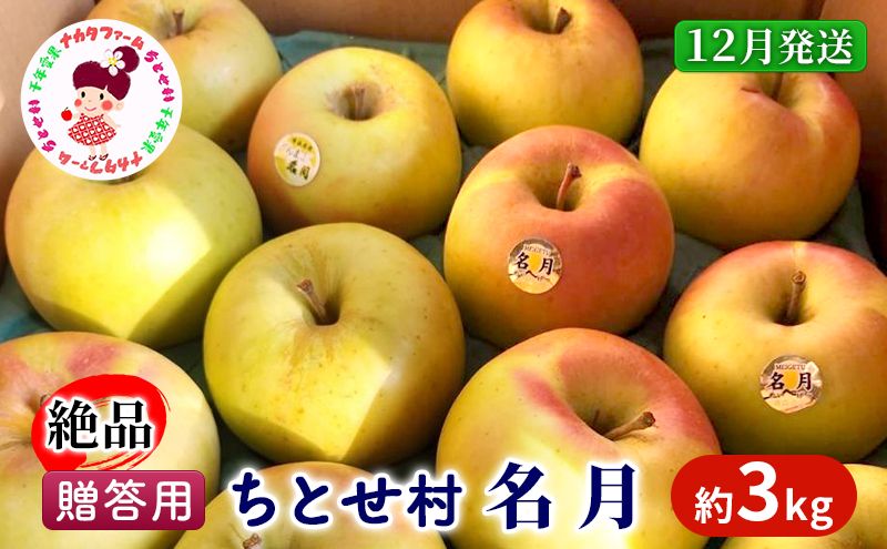 【12月発送】贈答用 絶品ちとせ村 名月 約3kg【弘前市産・青森りんご 果物 フルーツ デザート 食後 国産 食べ物 贈り物 ギフト  】