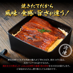 ★最終月きざみうなぎ1袋付き★ 特選うなぎの蒲焼き（冷凍）2尾 6ヶ月定期便 タレ付き 山椒付き ヤマシン