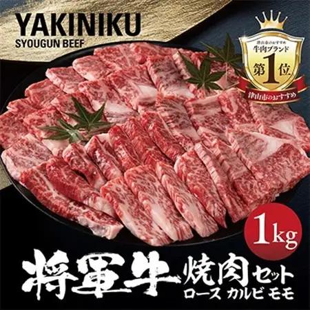 【将軍牛】特選焼肉セット ロース カルビ もも 3種類 1kg【配送不可地域：離島・北海道・沖縄県】【1652120】