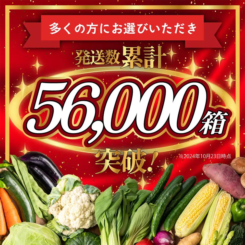 【12ヶ月 定期便】【野菜ソムリエ選定】 肥前の国のお野菜定期便 新鮮 採れたて 野菜 直売所 野菜 8～10品目 野菜定期便 J-14