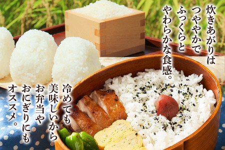 《令和7年産》《定期便7ヶ月》 米 あきたこまち 10kg（5kg×2袋） 【白米】 秋田県産