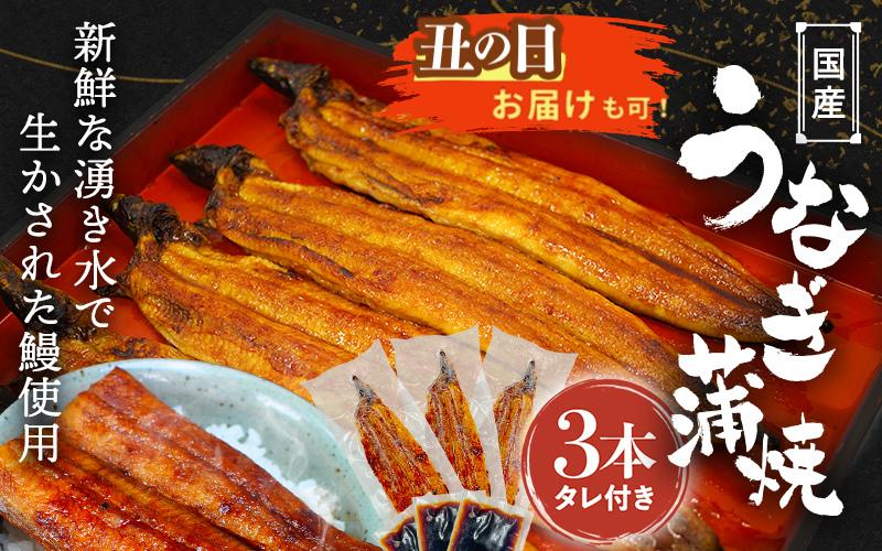 【土用の丑の日までにお届け】国産うなぎ蒲焼（3本）タレ付き / 和歌山 田辺市 国産 国産うなぎ 国産鰻 うなぎ 鰻 鰻丼 うな丼 土用の丑の日【ots017-dy】