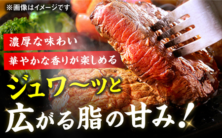 【全12回定期便】博多和牛 サーロイン ステーキ 200g×2枚 広川町 / 久田精肉店株式会社[AFBV006]