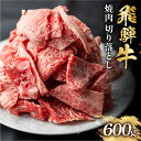 【ふるさと納税】飛騨牛 焼肉 切り落とし 600g 訳あり 訳アリ 不揃い カルビ 牛肉 肉 バーベキュー BBQ 和牛 贈答 ギフト 焼き肉 切り落とし わけあり ふぞろい ワケアリ 駿河屋 15000円 おすすめ 岐阜県 白川村 [S767]