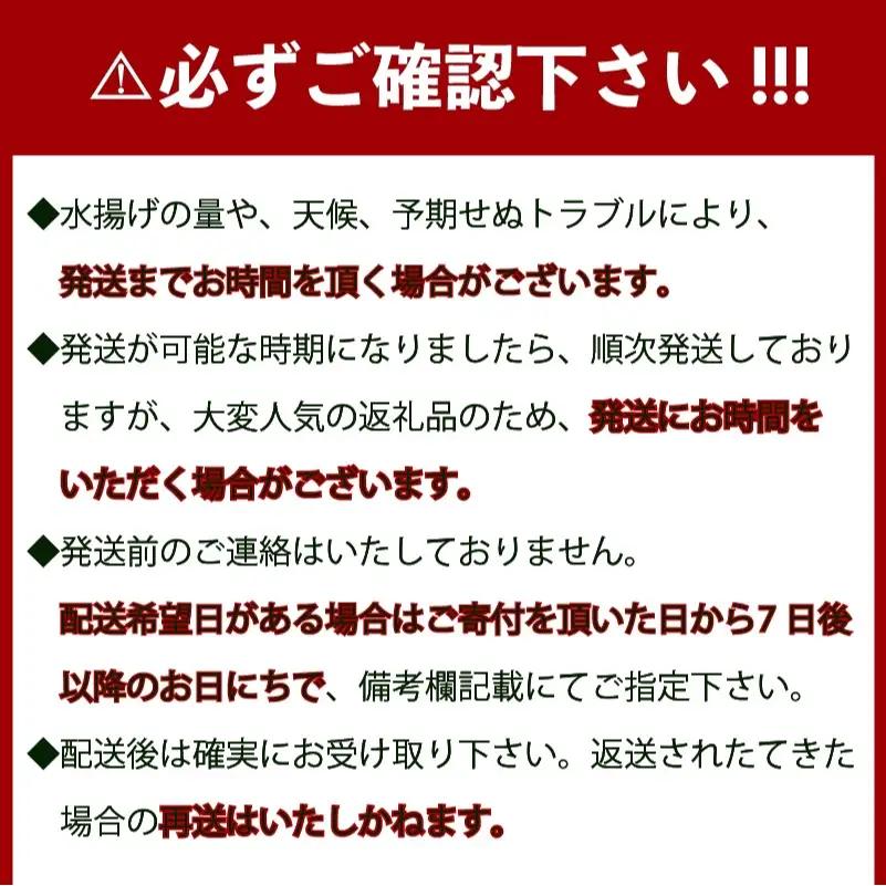 【伊勢海老】 【年末予約配送･30日着】特大伊勢海老 3匹