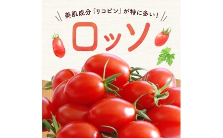 【先行予約】フルーツのように甘いミニトマト2種 各500g トマトベリー & Nicoロッソ_Y124-0020					