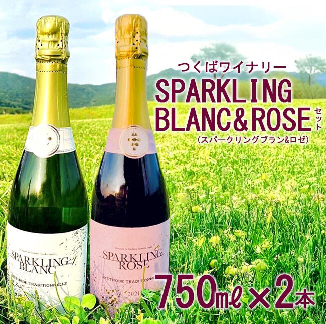 【ふるさと納税】つくばワイナリー SPARKLING BLANC & ROSE セット | お酒 葡萄 ぶどう ブドウ 茨城県 つくば市 ワイナリー ワイン ロゼワイン スパークリングワイン