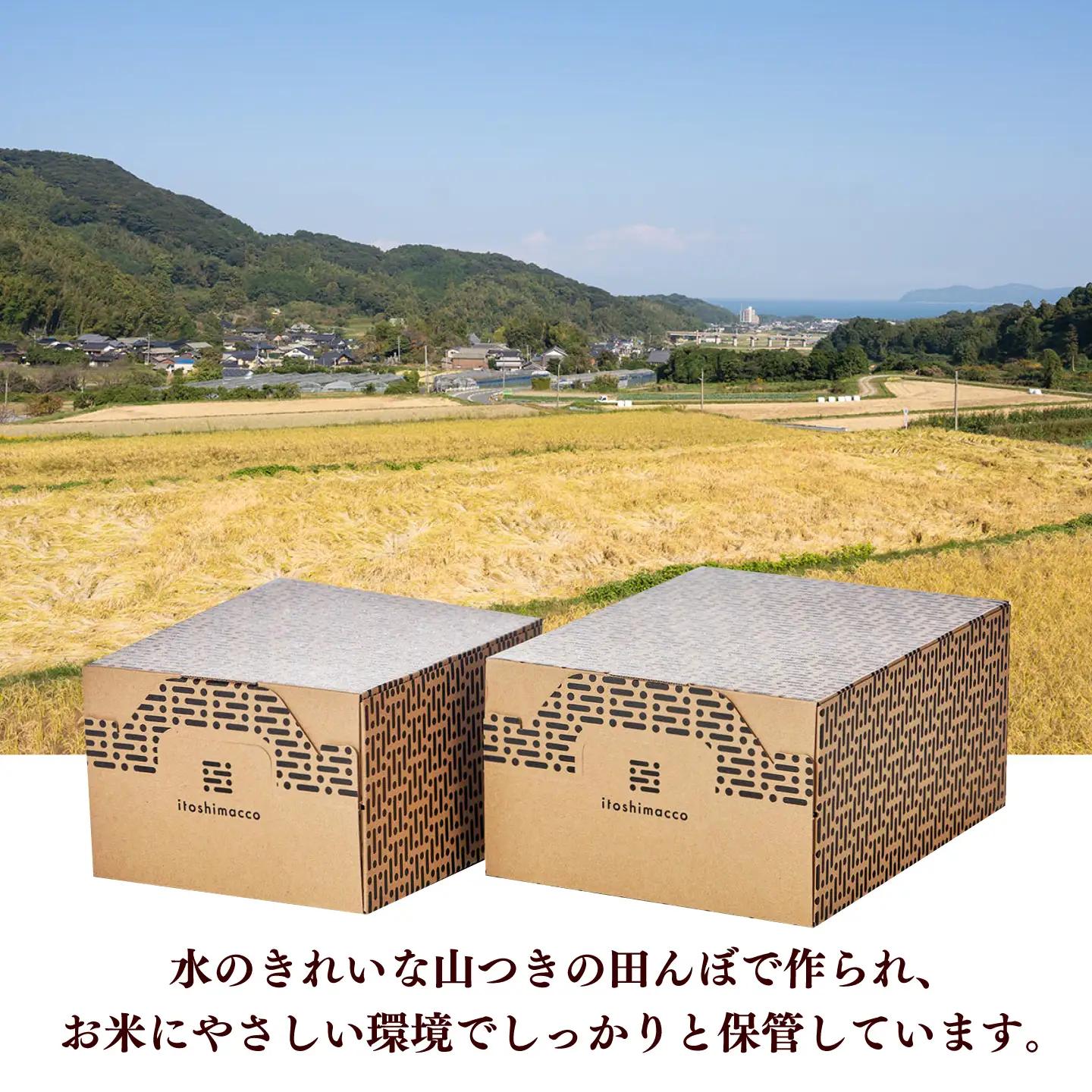 【全12回定期便】とくべつの中のとくべつ  特別栽培米  夢つくし 5kg【築上町】 / itoshimacco / 株式会社やました[ABEX008]