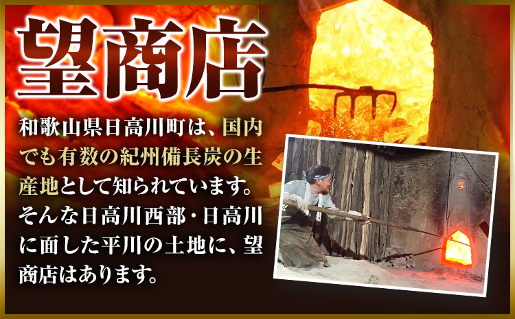 紀州備長炭 半丸 約5kg 望商店 《30日以内に出荷予定(土日祝除く)》 和歌山県 日高川町 備長炭 紀州備長炭 炭 約5kg 高級白炭 BBQ 焚火 アウトドア アウトドア用品