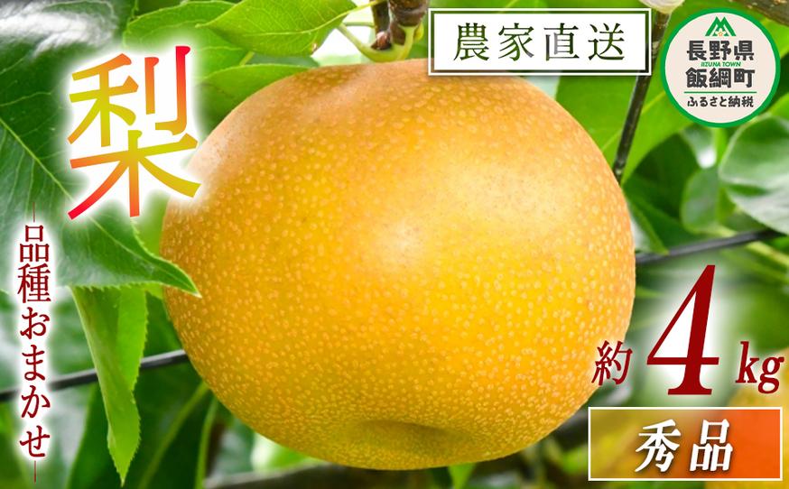 梨 朝どれ 和梨 秀品 4kg 以上 配送先は本州限定 2025年9月上