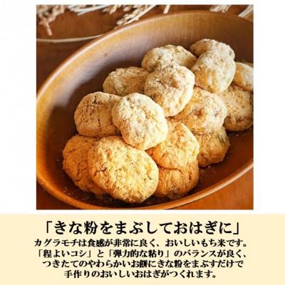 ふるさと納税 能美市 【日本農業賞大賞】もち米9kg(4.5kg×2袋)精白米(カグラモチ) |  | 02