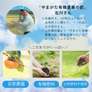 SA2823　令和7年産【有機肥料/自家栽培】　干し柿（庄内あんぽ柿）　9個入(3個×3袋)化粧箱入