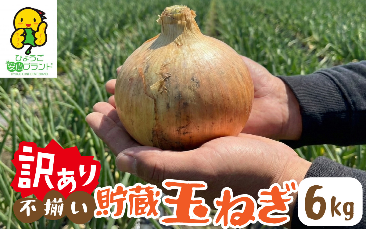 【先行予約】 淡路島 貯蔵玉ねぎ 6kg 訳あり サイズ不揃い 簡易箱でお届け