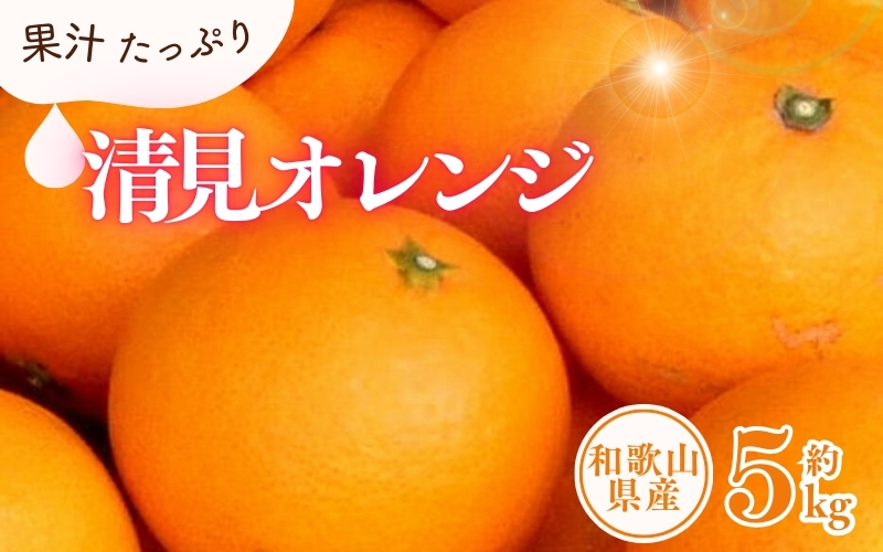 清見オレンジ約5kg/果実サイズおまかせ ※2025年2月中旬～2025年4月下旬頃発送予定　紀伊国屋文左衛門本舗【ntb400A】