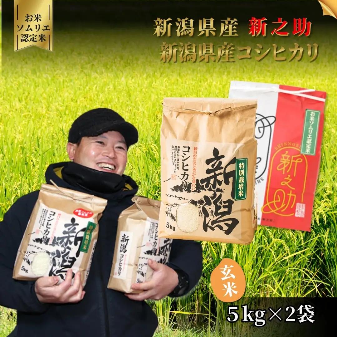 【先行予約】令和8年産 新米 玄米 食べ比べセット 10kg(コシヒカリ5kg・新之助5kg) | 新潟県産 米 玄米 五泉市