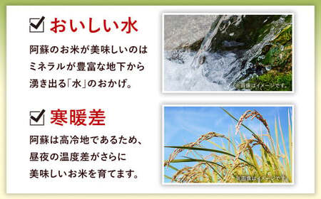 ＜令和6年産＞  阿蘇だわら 12kg （6kg×2袋） 【2024年12月上旬発送開始予定】 精米 米 白米 熊本のお米 西原村