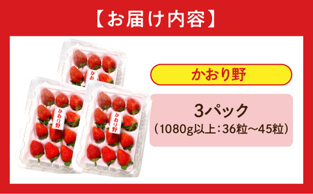《2025年発送先行予約》【期間・数量限定】宮崎県産いちご「かおり野」3パック（計1080g以上：36粒～45粒） 甘味 酸味 抜群