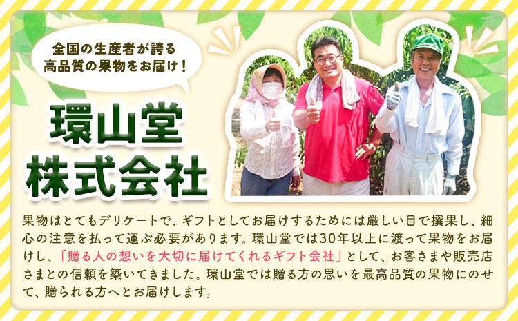 【2027年先行予約】桃 もも 清水白桃 3玉 800g以上 岡山県産 環山堂株式会社【配送不可地域あり】《7月中旬-8月上旬頃出荷》岡山県 浅口市 白桃 果物 フルーツ 送料無料---asakuch