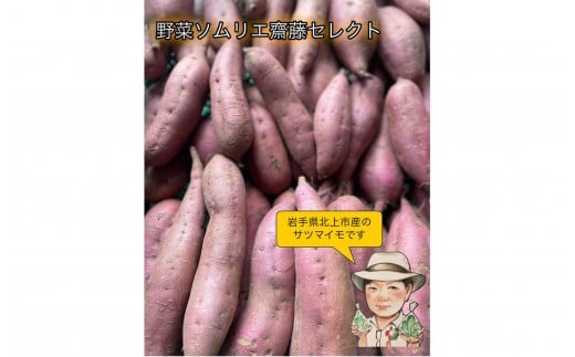 【予約受付2024年10月中旬発送予定】野菜ソムリエ齋藤セレクト「新」秋セット　　サツマイモ 芋 野菜 セット 予約 シルクスイート 紫さつまいも パープルスイート ハロウィンスイート 紅あずま 紅はるか 安納芋 鳴門金時等